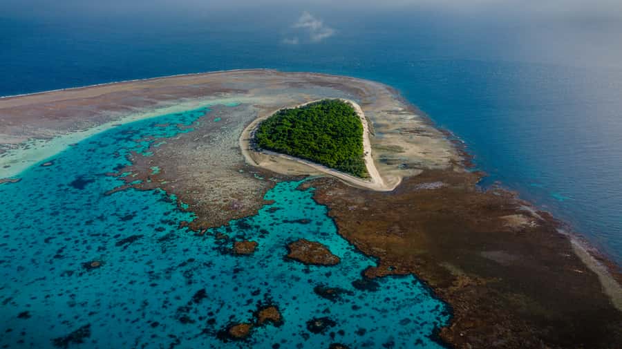 Town of 1770: Lady Musgrave Island Snorkelling Day Cruise - Six things worth knowing before you book