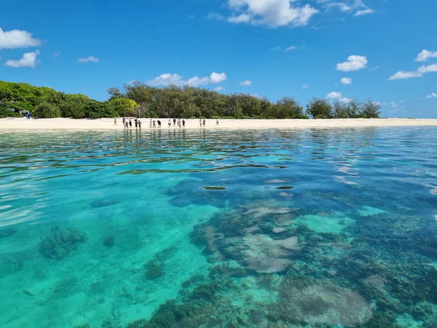 Town of 1770: Lady Musgrave Island Snorkelling Day Cruise - Leaving Seventeen Seventy for Lady Musgrave