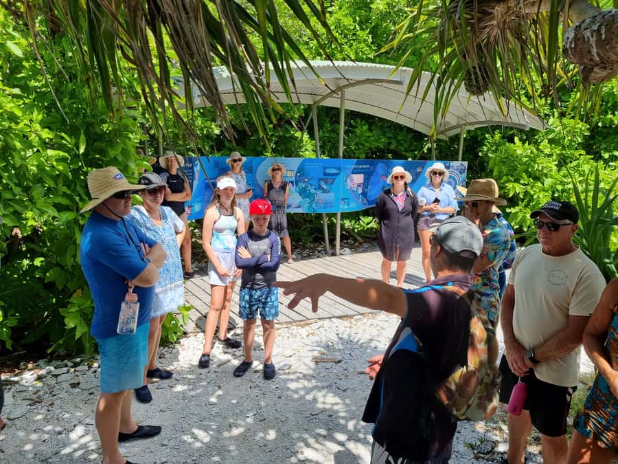 Town of 1770: Lady Musgrave Island Snorkelling Day Cruise - Food keeps the long day comfortable