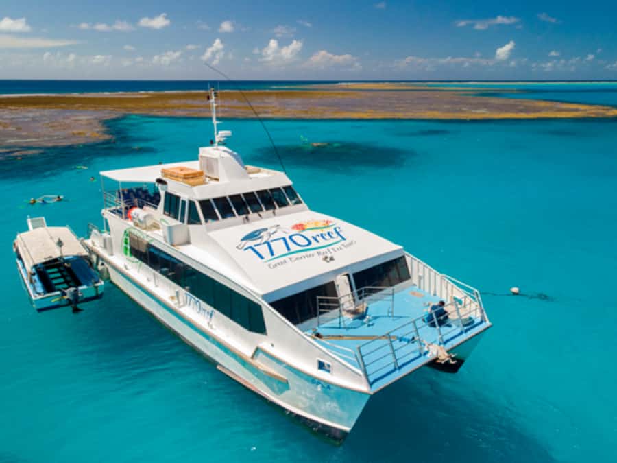 Town of 1770: Lady Musgrave Island Snorkelling Day Cruise - Lady Musgrave’s lagoon gives snorkellers room to relax