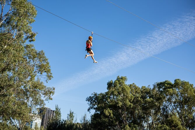 Tree Top Activity for Thrill Seekers and Adventurers in Adelaide - Key points before you book