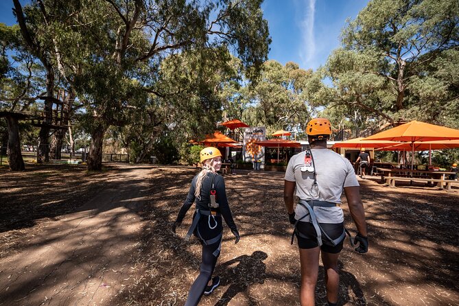 Tree Top Activity for Thrill Seekers and Adventurers in Adelaide - Who will enjoy the Grand Course most?