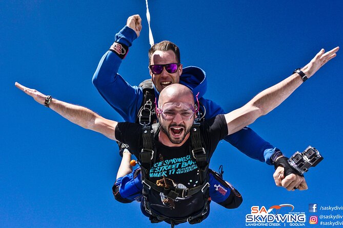 Tree Top Activity for Thrill Seekers and Adventurers in Adelaide - Is $85 a fair price?