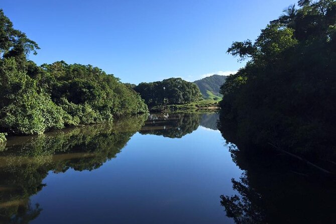Ultimate Daintree Rainforest Wildlife Experience Cruise - What the Daintree River cruise is really about