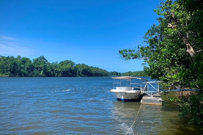 Ultimate Daintree Rainforest Wildlife Experience Cruise - Group size, access, and practical comfort