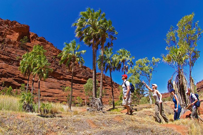 Uluru (Ayers Rock) Sunset + Outback Barbecue Dinner & Star Talk - What you will eat and drink