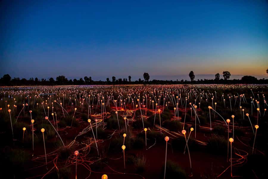 Uluru: Field of Light Sunrise Tour with Hot Drinks - Is $91 good value?