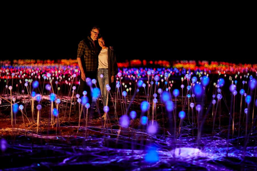 Uluru: Field of Light Sunrise Tour with Hot Drinks - Walking through the 50,000 glowing spheres