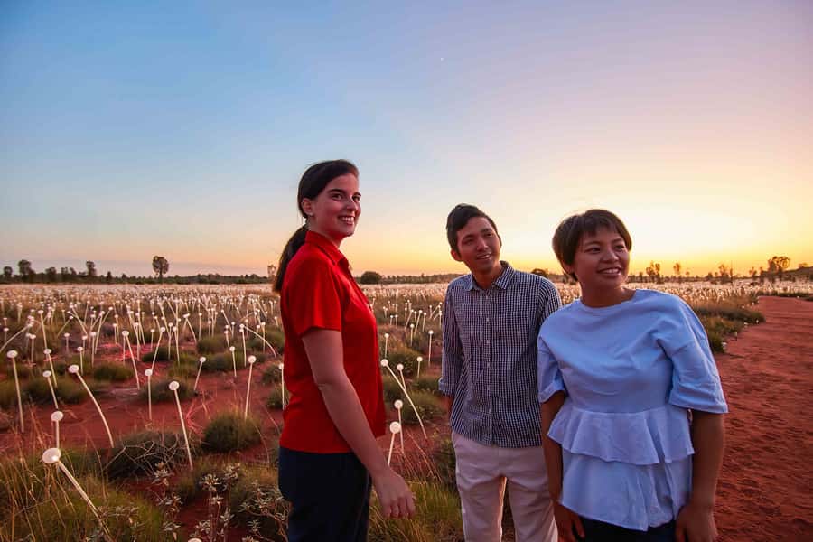 Uluru: Field of Light Sunrise Tour with Hot Drinks - Guides who add more than a bus transfer