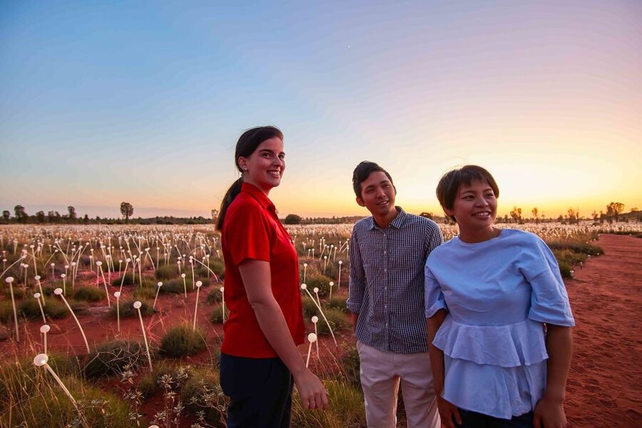Uluru: Field of Light Sunrise Tour with Hot Drinks - How cold is the sunrise tour?
