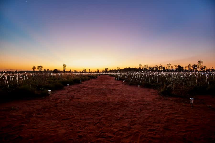 Uluru: Field of Light Sunrise Tour with Hot Drinks - Is two hours enough?