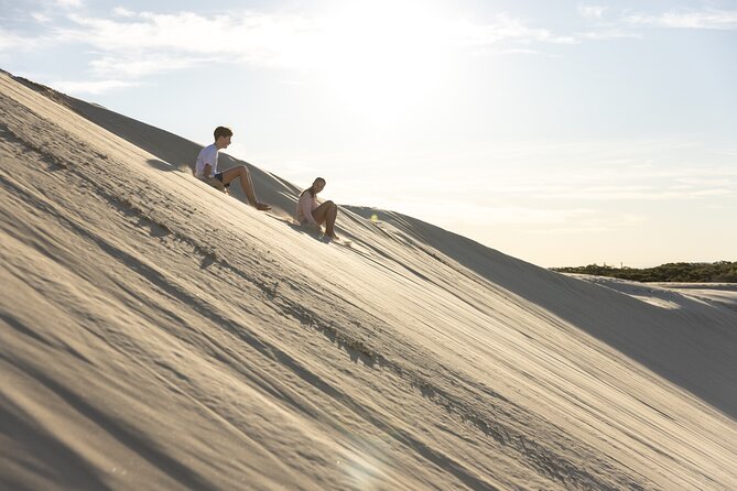 Unlimited Sandboarding - A good fit for families and first-timers
