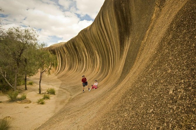 Wave Rock, York and Aboriginal Cultural Day Tour from Perth - The country drive and the working-dog stop