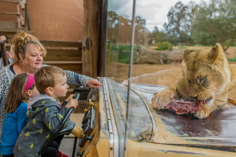 Werribee Open Range Zoo: Entry Ticket - Start with the open-range safari
