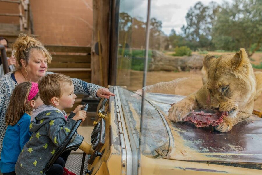 Werribee Open Range Zoo: Entry Ticket - Food, picnics, and the Meerkat Bistro