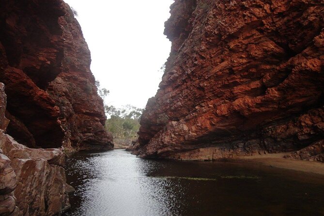 West MacDonnell Ranges Half day Tour -Small Group - Key points to know before you book