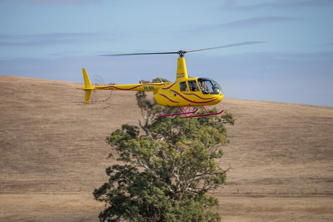 Western Ridge & Valley Floor: 20-Minute Helicopter Flight - Who will enjoy this flight most?