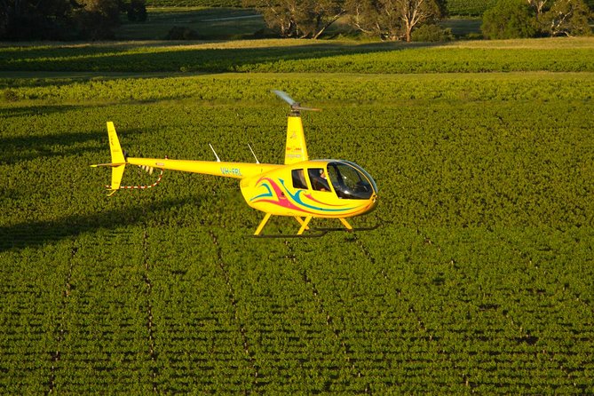 Western Ridge & Valley Floor: 20-Minute Helicopter Flight - Seppeltsfield, Jacob’s Creek, and the Barossa ranges