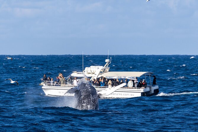 Whale Watching Boat Trip in Sydney - How small is the group?