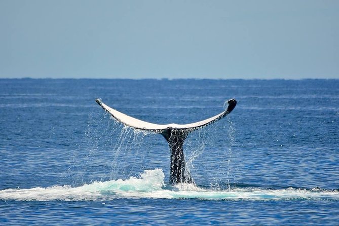 Whale Watching Busselton - Leaving Busselton Through Port Geographe Marina