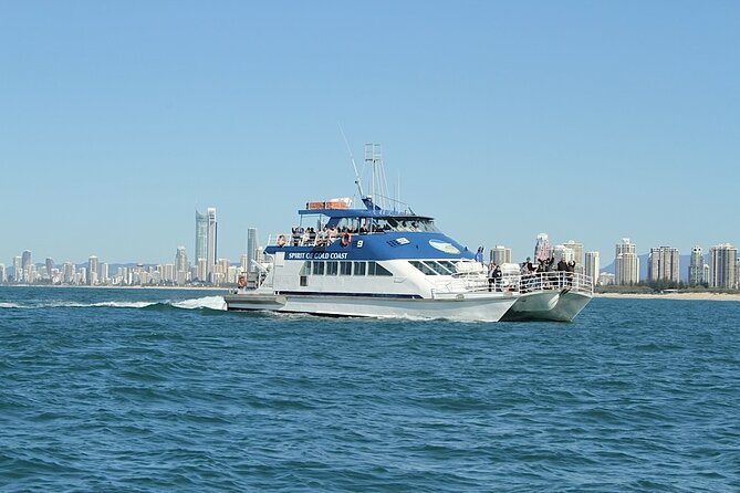 Whale Watching Tour with Spirit of Gold Coast - Comfort, timing, and the real cost
