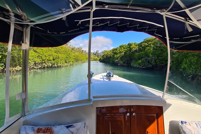 Whisper Cruises - One-Hour Turtle Spotting Bay Cruise - Starting at Shingley Drive