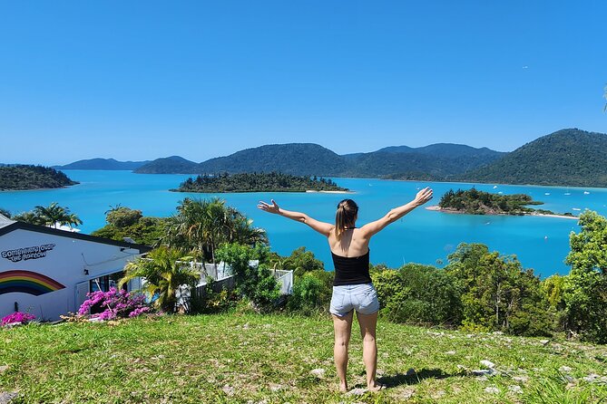 Whisper Cruises - One-Hour Turtle Spotting Bay Cruise - Searching Whisper Bay and Pigeon Island