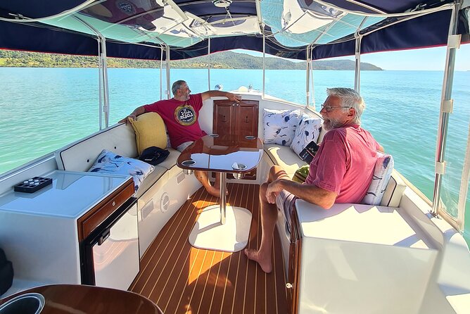 Whisper Cruises - One-Hour Turtle Spotting Bay Cruise - What turtle sightings are really like