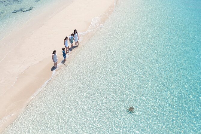 Whitehaven Beach and Hill Inlet Lookout Snorkeling Cruise - What the $164.97 price really includes