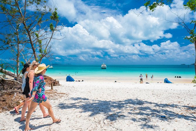 Whitehaven Beach Morning or Afternoon Tour - Swimming, stinger suits, and beach activities