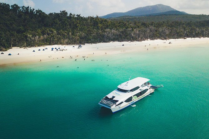 Whitehaven Beach Morning or Afternoon Tour - Tea, snacks, and what to bring