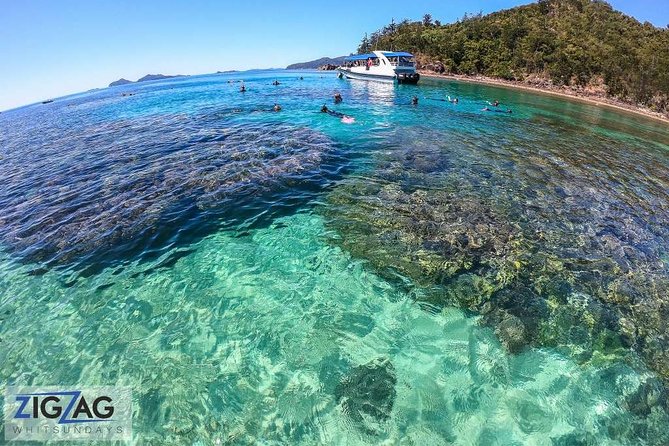 Whitehaven Beach Tour: 2 Options - All Day Beach Or Snorkel - Lunch, snacks, and the onboard setup