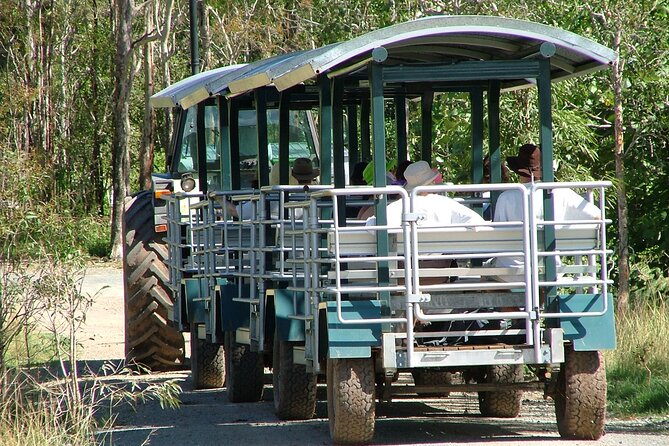 Whitsunday Crocodile Safari - Key points before you book