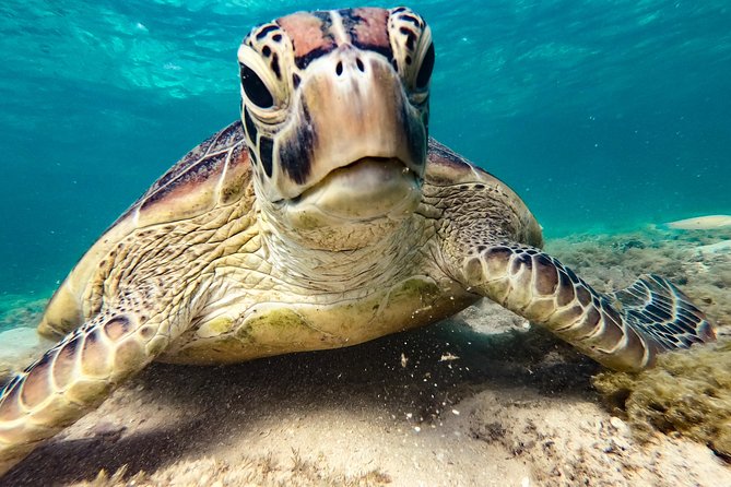 Whitsunday Islands Sail, SUP & Snorkel Tour- Small group - What the catamaran offers between activities