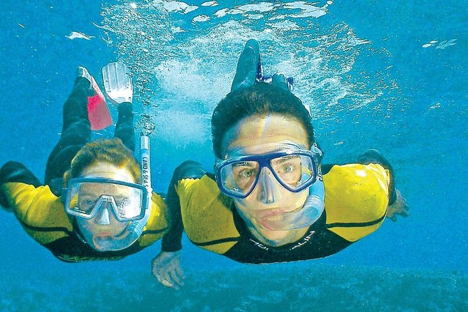 Whitsunday Islands Sail, SUP & Snorkel Tour- Small group - Is the $156.72 price good value?