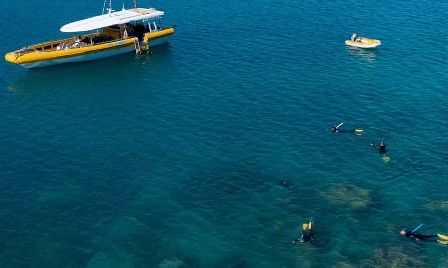 Whitsunday: Whitsunday Islands Tour with Snorkeling & Lunch - Final verdict: Is it worth booking?