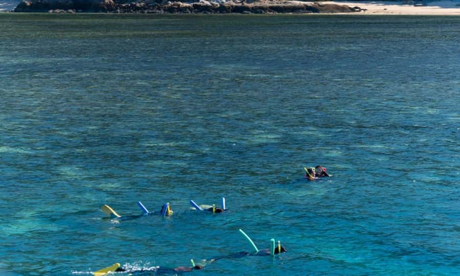 Whitsunday: Whitsunday Islands Tour with Snorkeling & Lunch - Who should book this Whitsunday tour