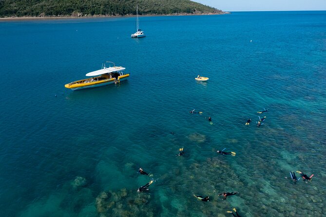 Whitsundays Day Cruise: Whitehaven Beach & Hill Inlet - Key points before you book