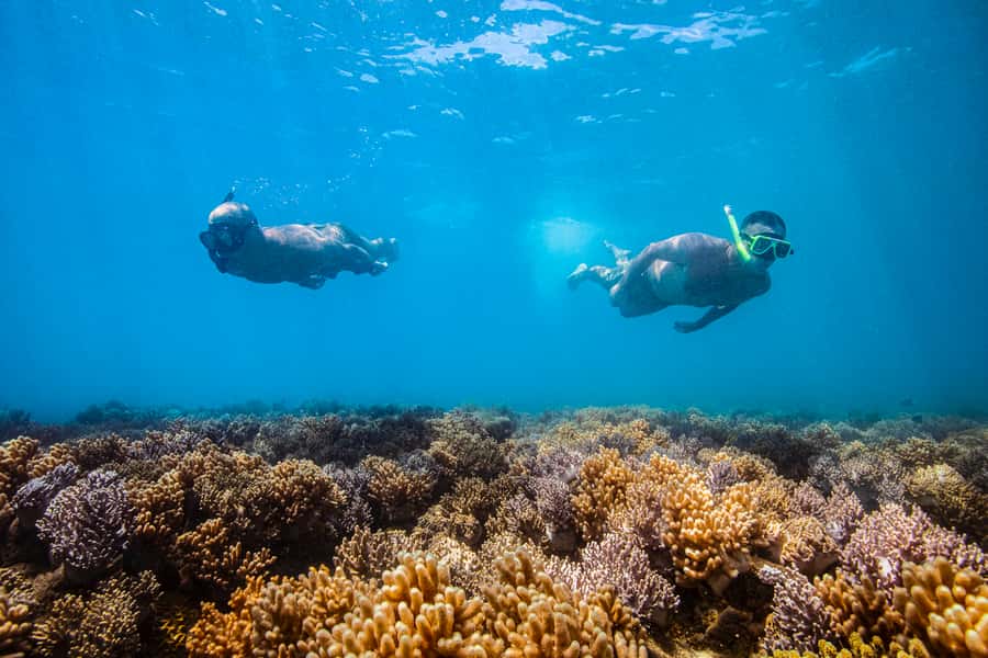 Whitsundays Sailing & Snorkelling Day Tour – All Inclusive - Who will enjoy Tongarra most