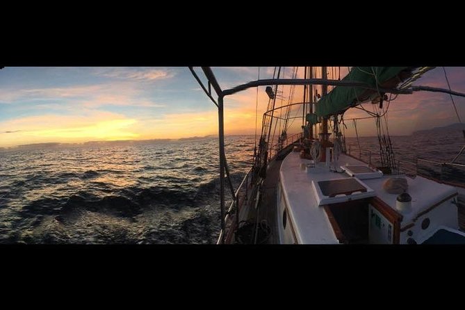 Whitsundays Sunset Sailing Cruise - Who will enjoy this sunset sail most