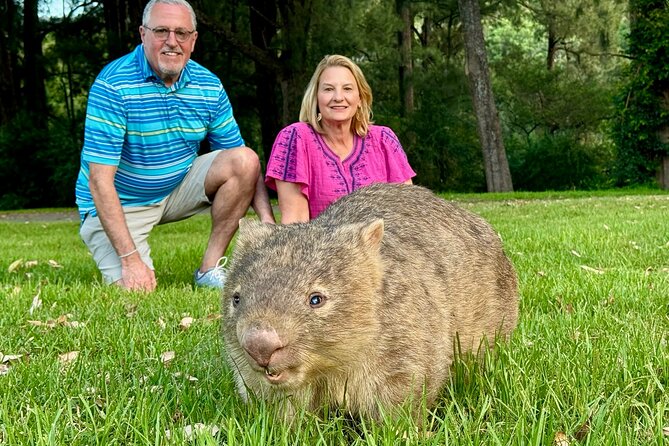 WILD Wombat and Kangaroo Day Tour, All Inclusive - Key points at a glance