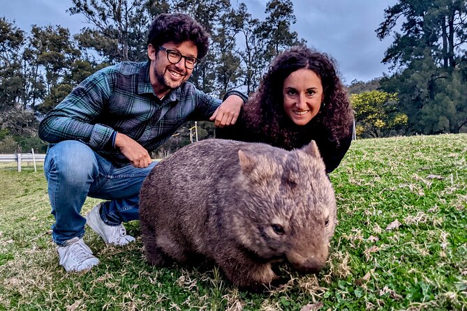 WILD Wombat and Kangaroo Day Tour, All Inclusive - The Southern Highlands wildlife walk