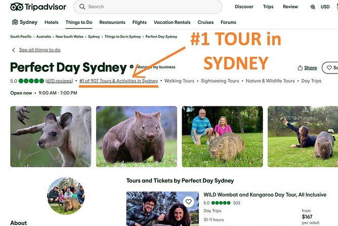 WILD Wombat and Kangaroo Day Tour, All Inclusive - Macquarie Pass National Park by road