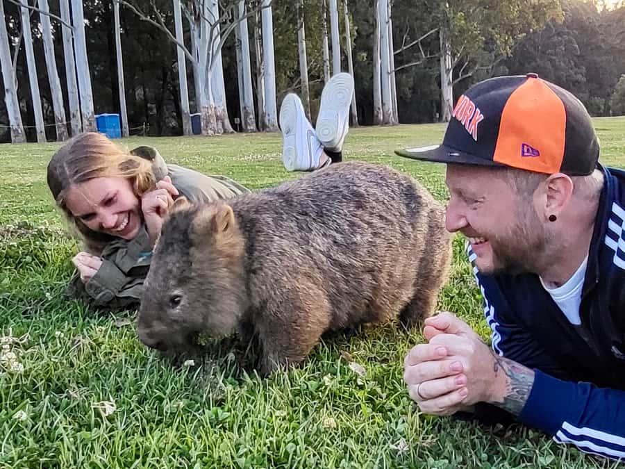 WILD Wombats and Kangaroo Experience, All Inclusive, Sydney - The best parts of the day at a glance