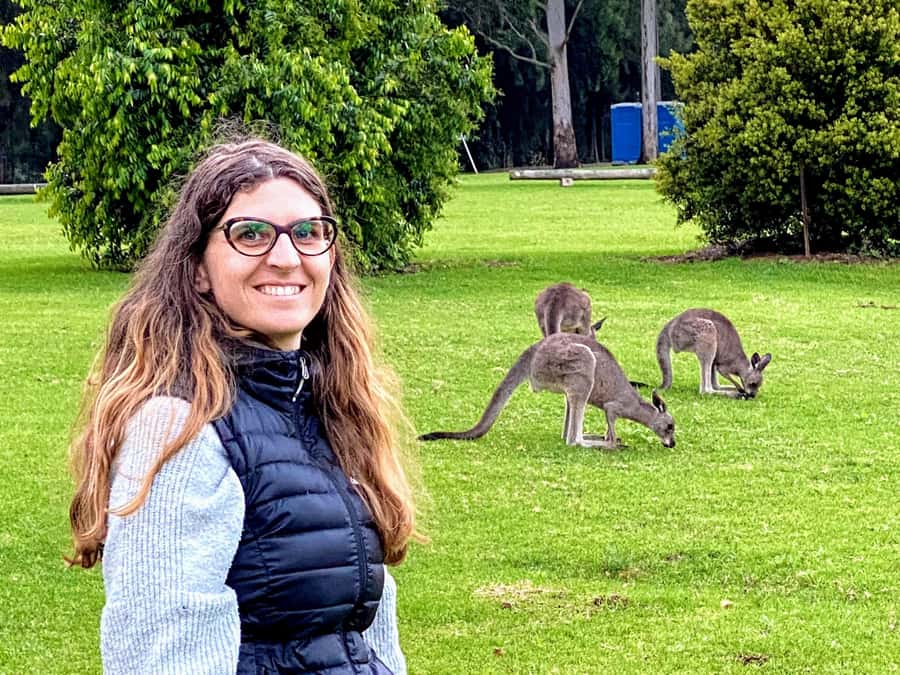 WILD Wombats and Kangaroo Experience, All Inclusive, Sydney - The first cliff viewpoint and South Coast views