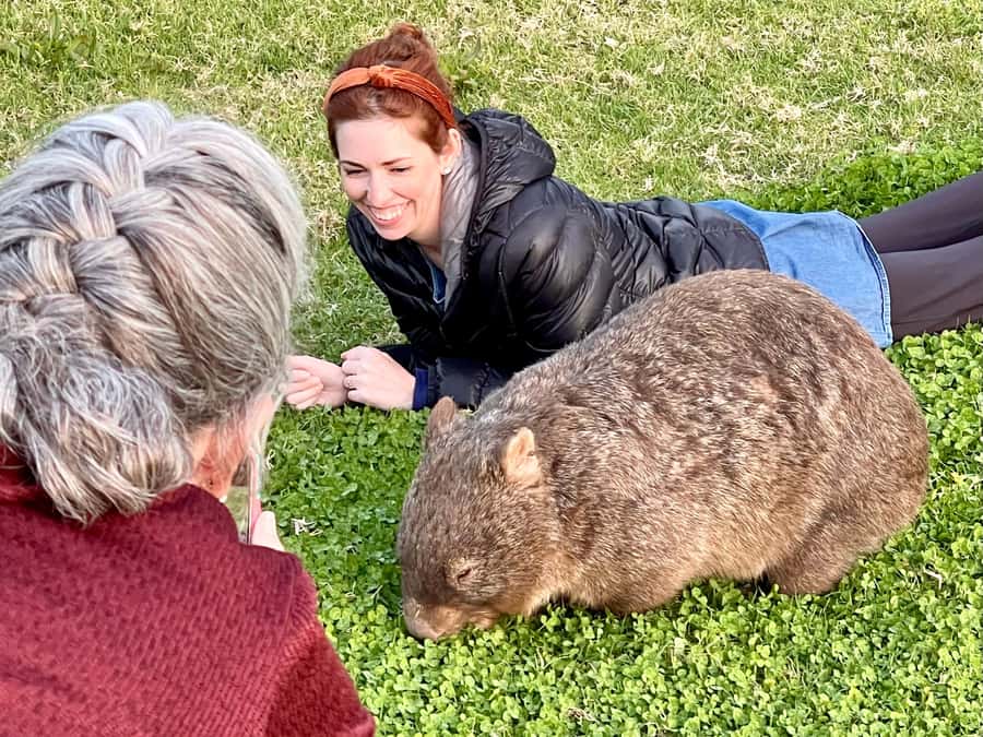 WILD Wombats and Kangaroo Experience, All Inclusive, Sydney - Robertson Pie Shop and the seasonal lunch