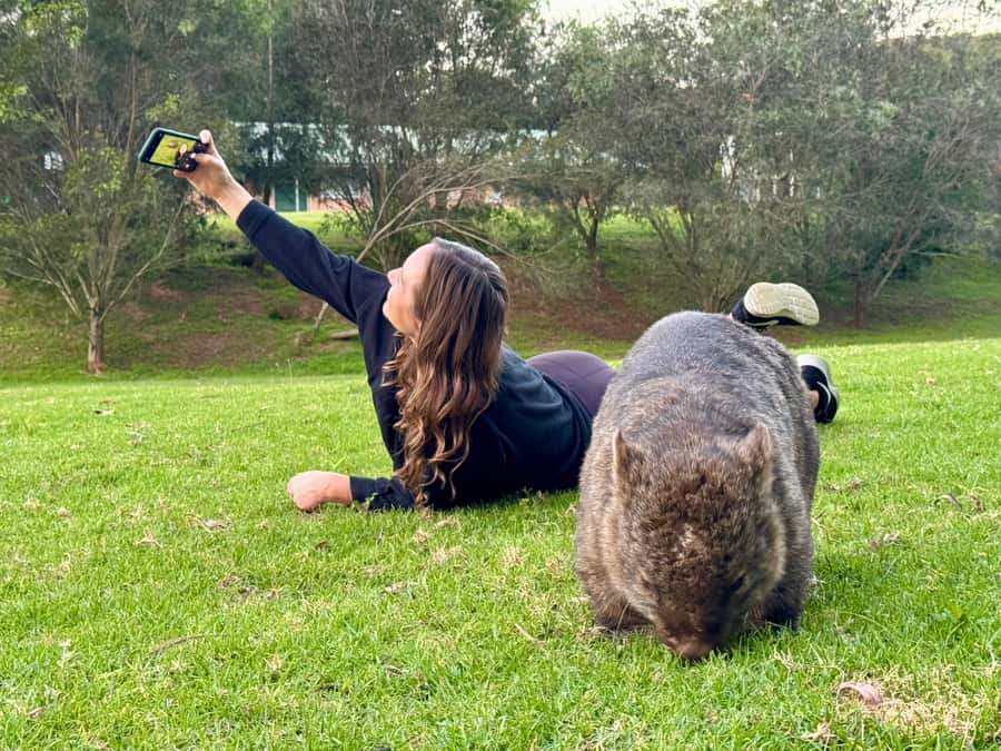 WILD Wombats and Kangaroo Experience, All Inclusive, Sydney - The van ride from central Sydney