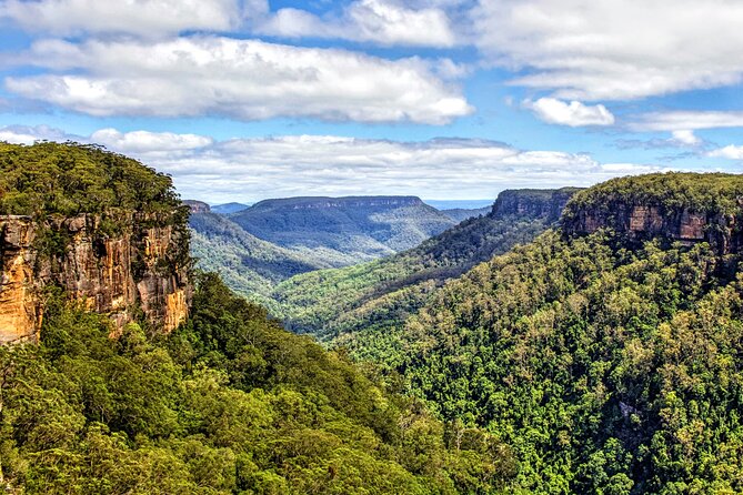 Wildlife, Waterfalls and Wine Day Tour from Sydney - Morton National Park and Fitzroy Falls