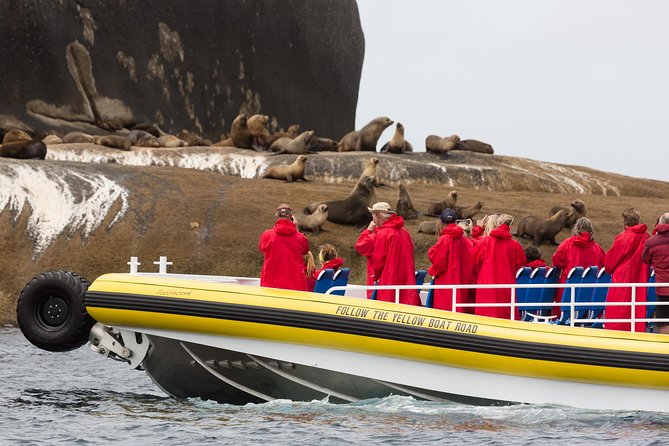 Wilsons Promontory Wilderness Cruise from Tidal River - What the amphibious boat ride feels like