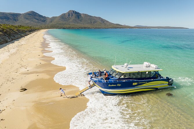 Wineglass Bay Cruise from Coles Bay - Weather, sea conditions, and what to pack
